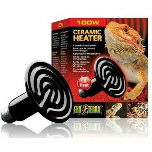 V2H2CFEC9EB2C14242A95B7E1342028F4AFR6236661P1