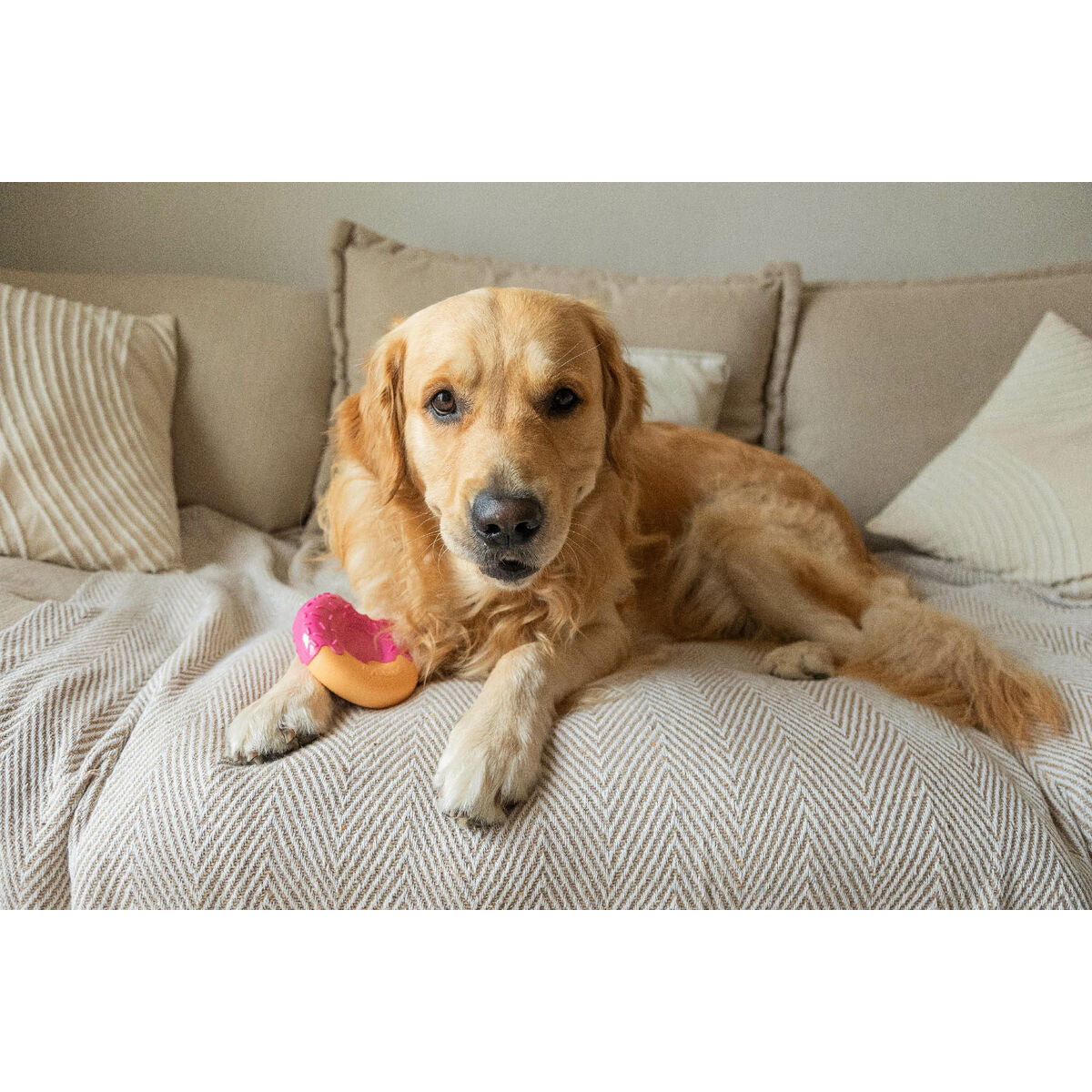 V2HDE0E3F15D0B71A670F3D58D96EA47219R5778871P4