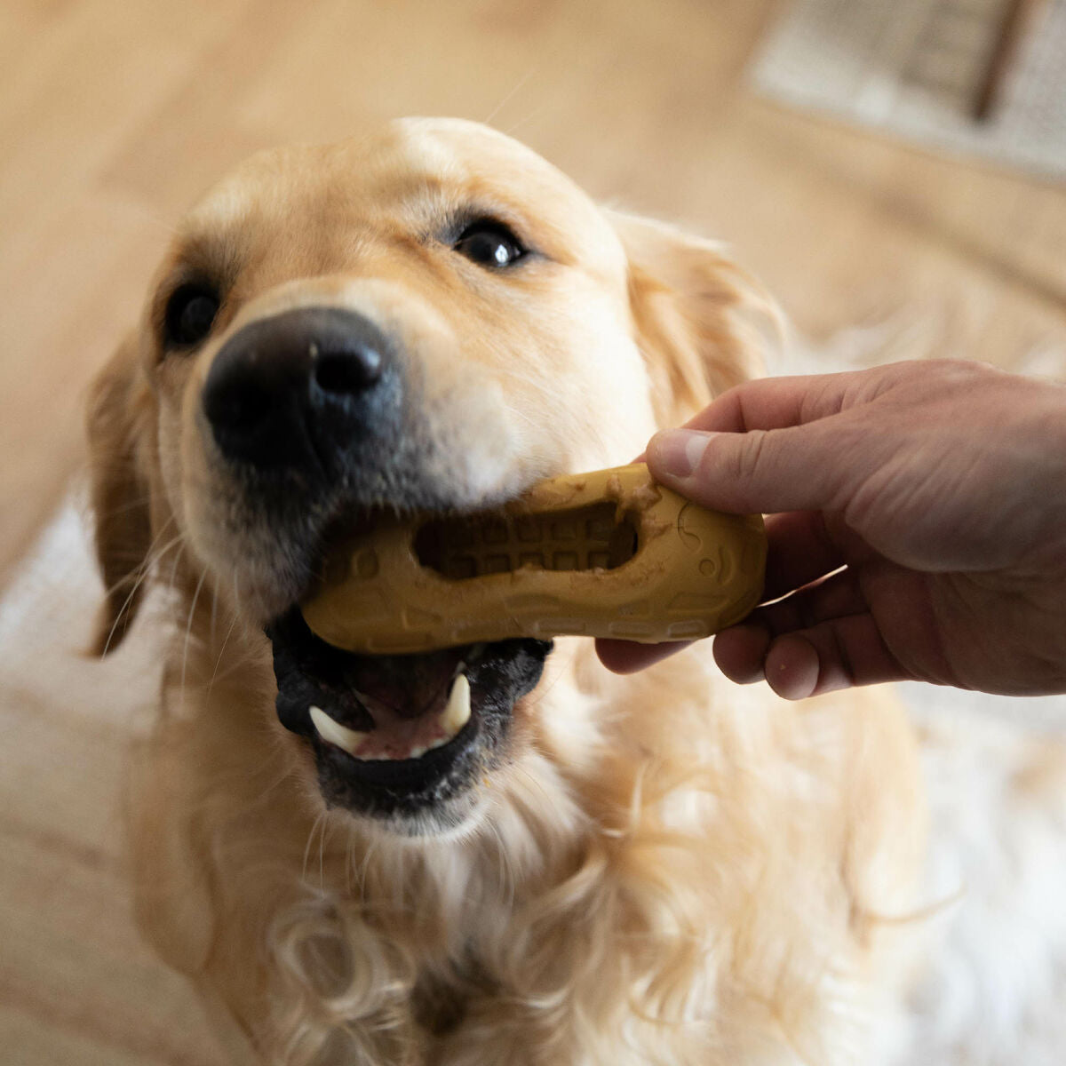 V2H0A0A549C35B0D2E09B5AAF6D811BC1C0R5778894P3