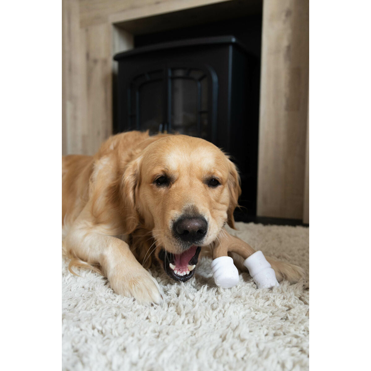 V2HBFE21F669223B654DC49DFB8171CDE10R5778904P3