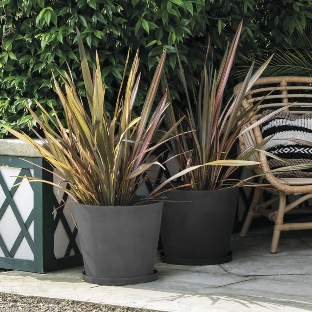 V2H0CD7A5C997A31ECE034D7A6DC67F41C7R5780036P2