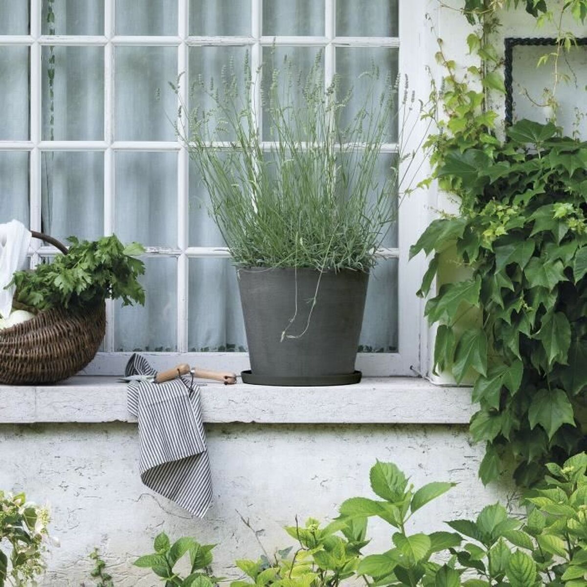 V2H755D1A40E78ACB6BBC9D041D70BA39F9R5819718P2