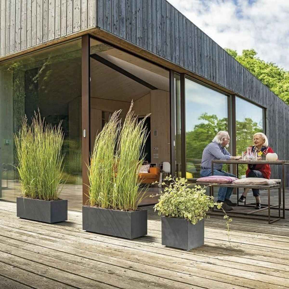 V2HEDD9193BB55161848109E85F9BBDE58BR5809345P5