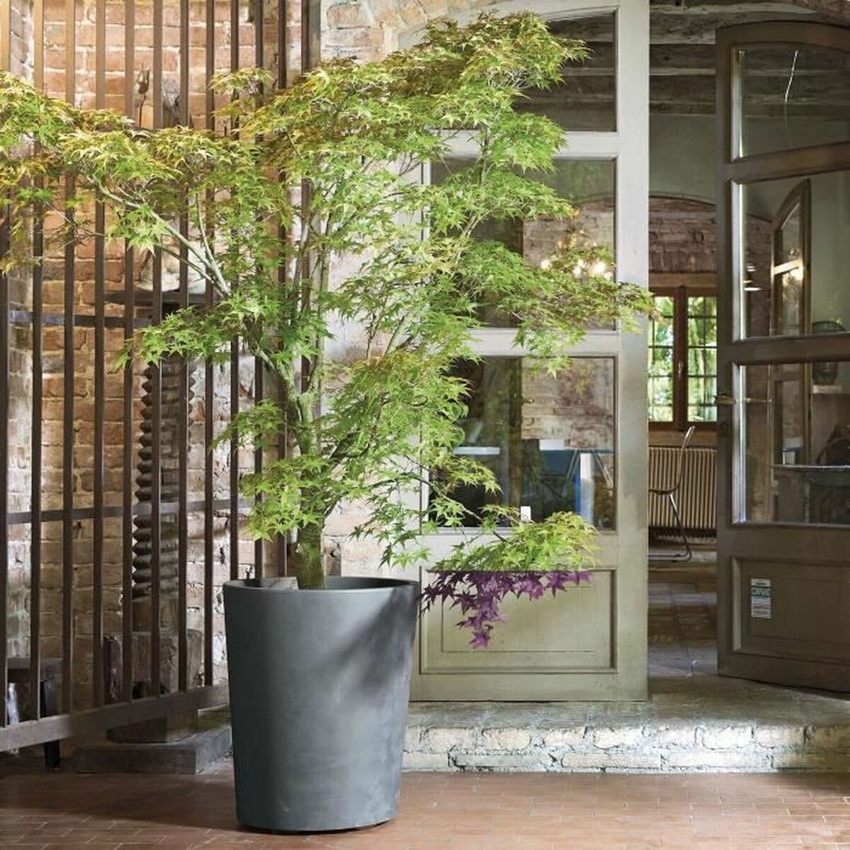 V2H0B49168AFCC8CF153720432DFF71FC12R5809455P4