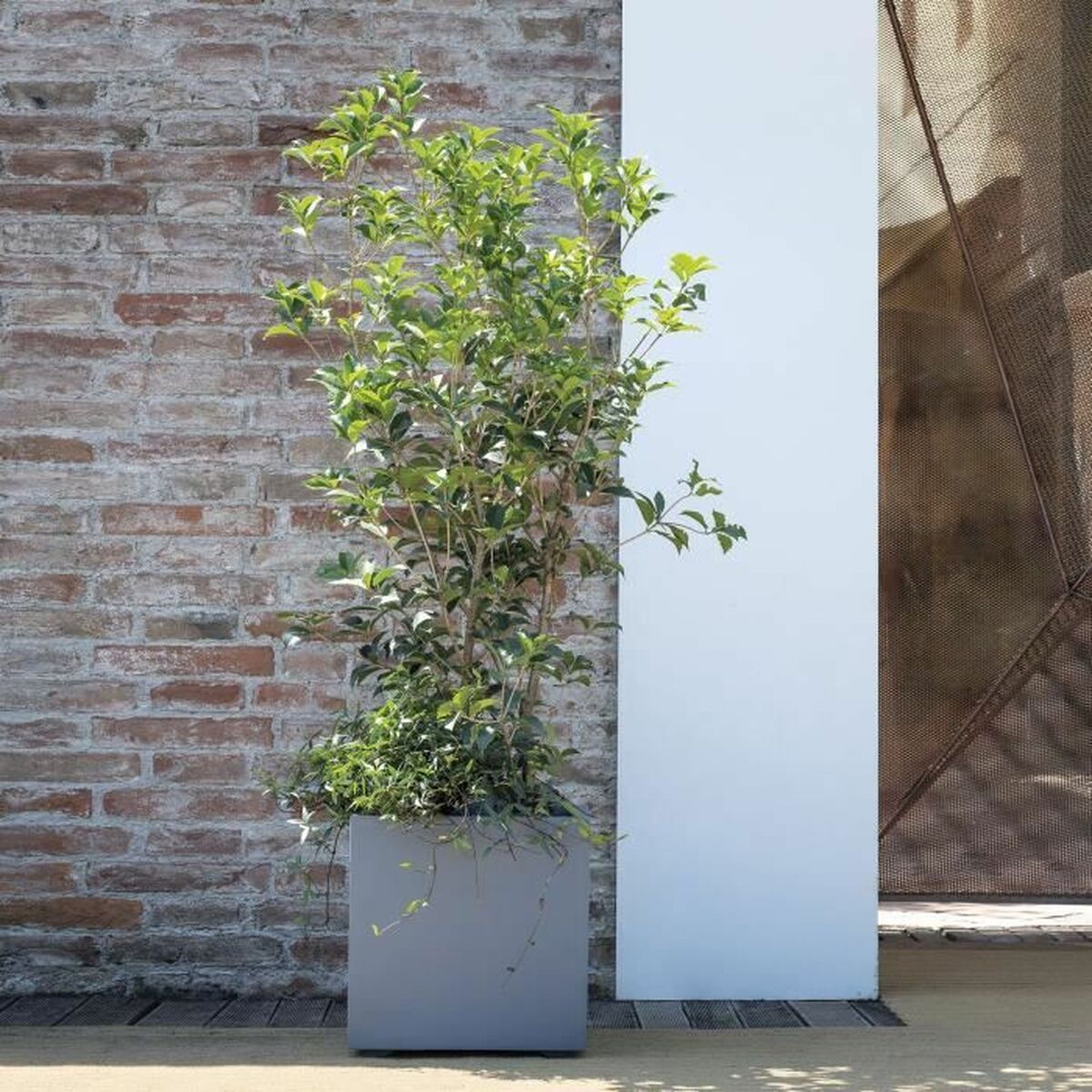 V2HE9DD4F8AA8B894B1CF817C6E9283237DR5927905P2