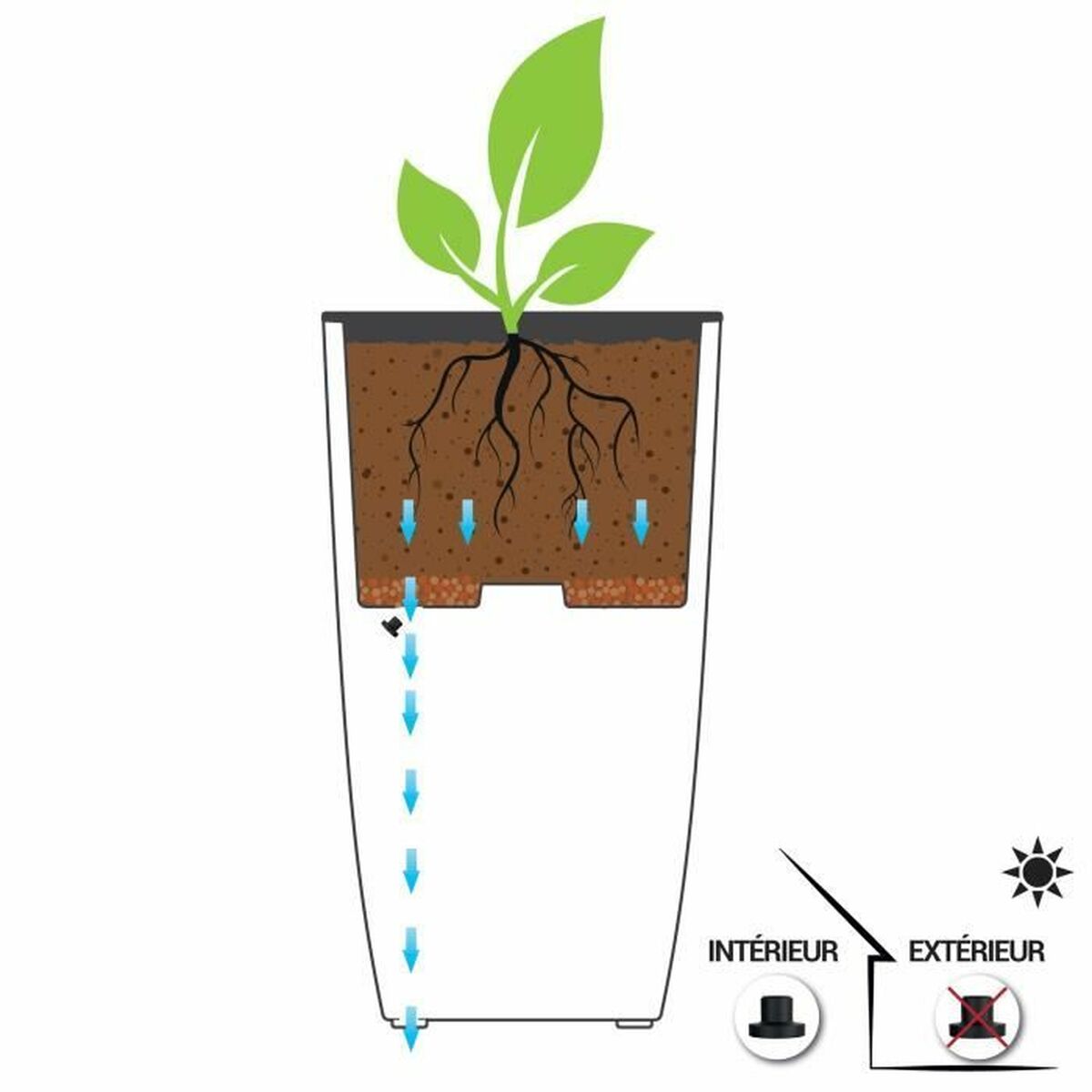 V2H323B29E1EFDBE2F6124F302F6B0B8347R5780502P4