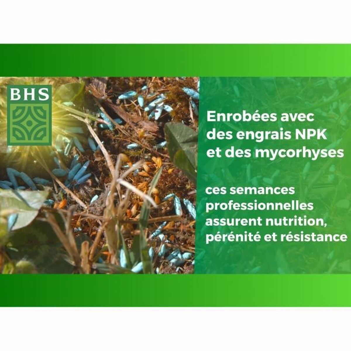 V2H45F29B5F3DE356BB4592D390941EE0A1R5808573P2