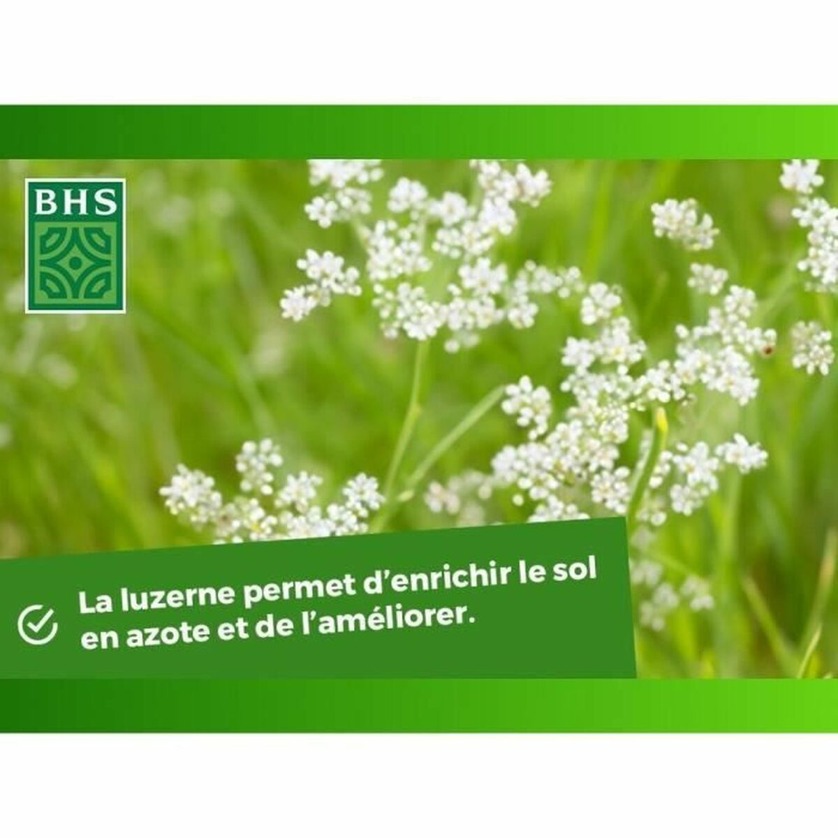 V2H326153E6EC2FE7DA9A49EE9332E3C2CAR5964930P5