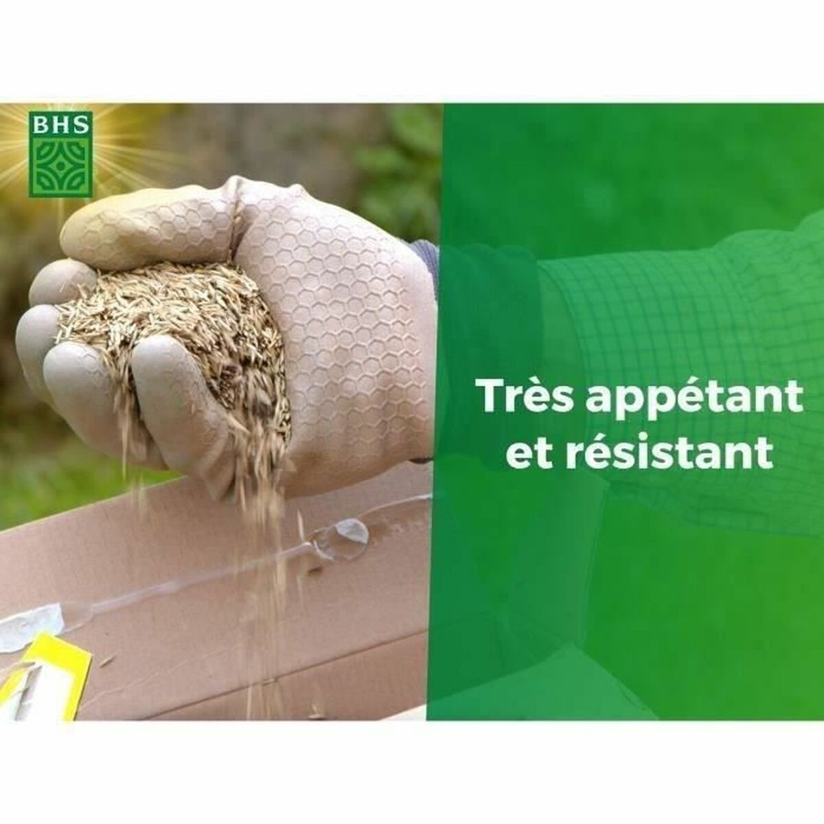 V2HB86BD4D4A3C7735EBAB0C71B7D639FC6R5808588P5