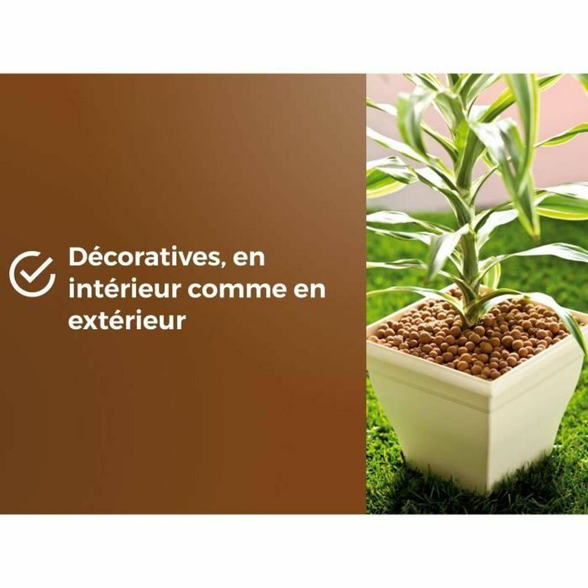 V2H6C7C48BBBB3970F1CA72F73AC8D9D357R5966239P5