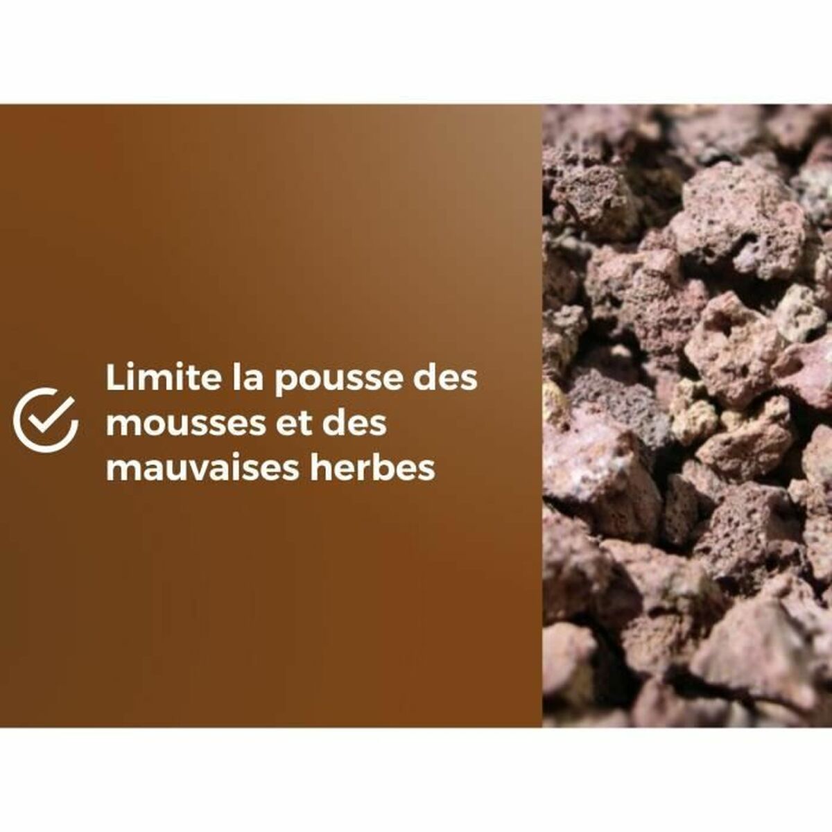 V2HC26821AE9ABD42A14A86580B4E994824R5819562P4