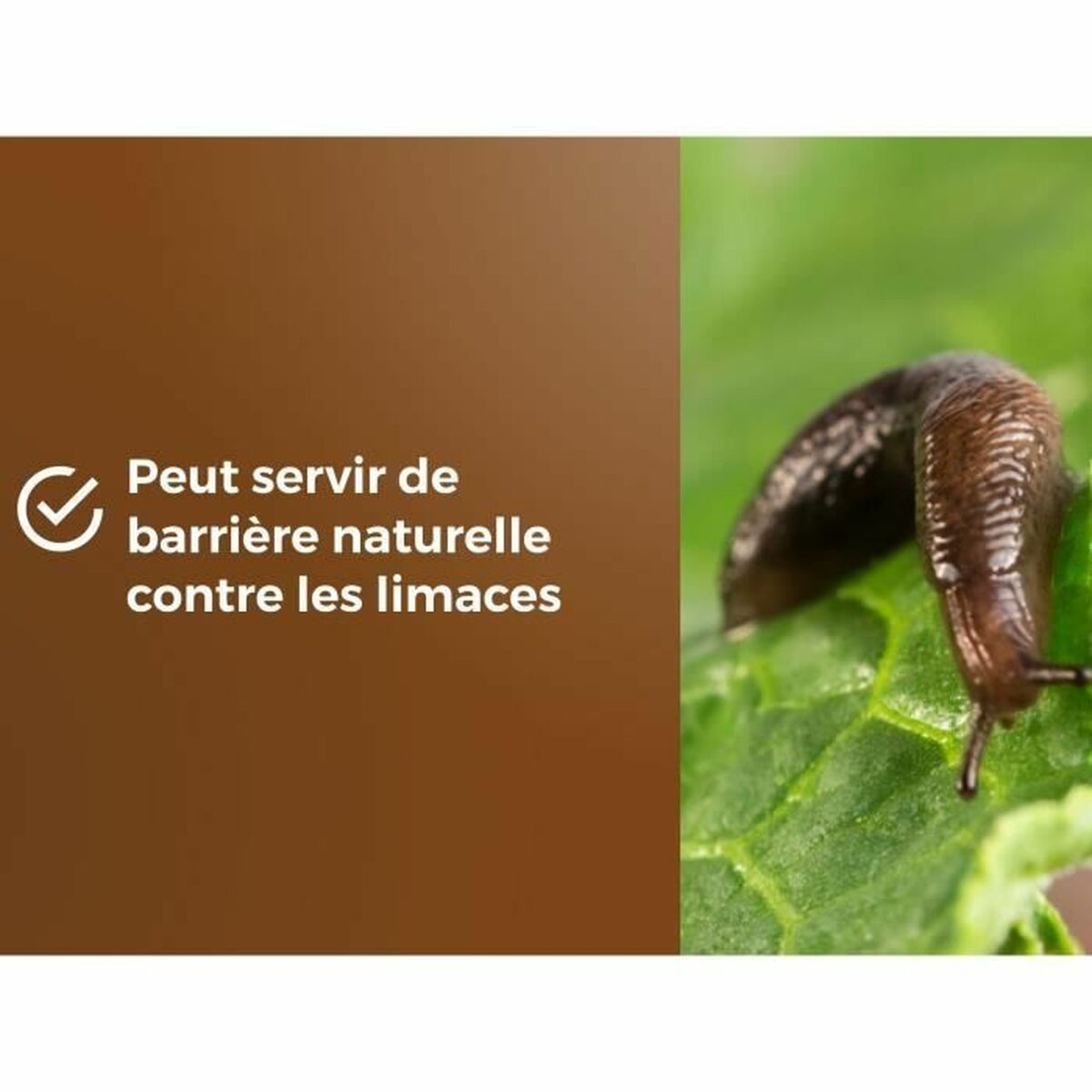 V2H62F454DD933520C515740F5474284F14R5819564P5