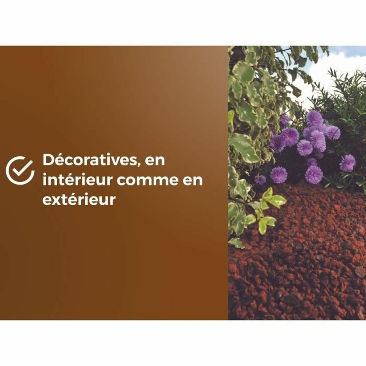 V2HE462E29C0DFA5348C89D4A7187B9A07FR5819566P6