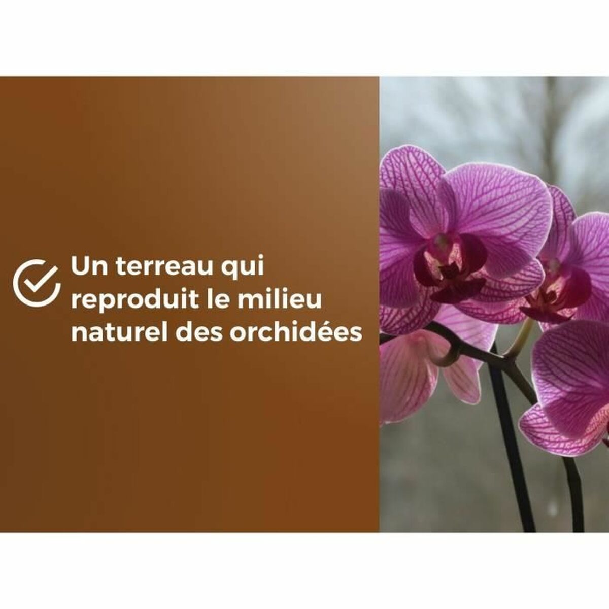 V2H2B73F530F1E318F0021B64CA1062757FR5966079P4