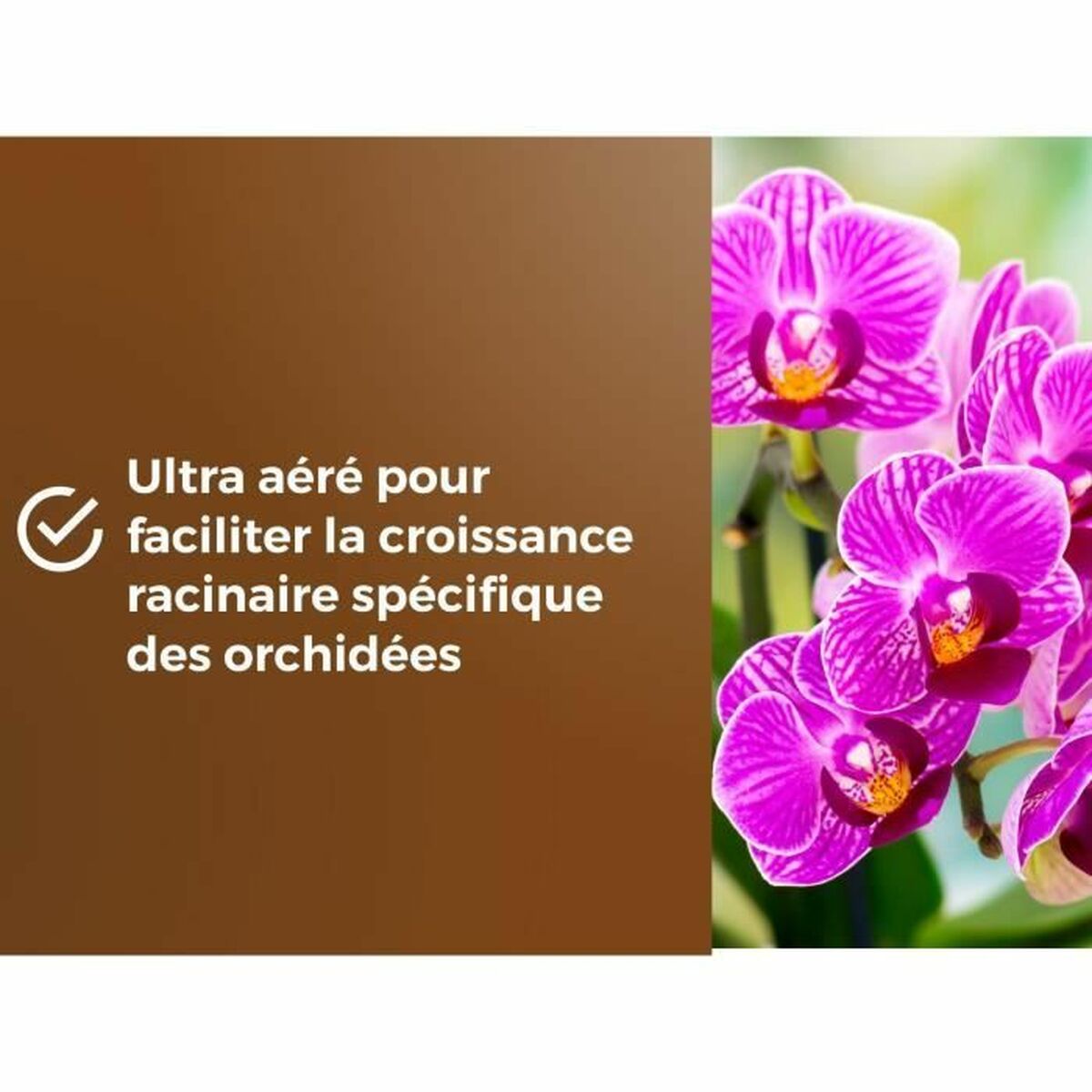 V2H511D2B02FFA602F13A60D3D57D3F22F3R5966080P5