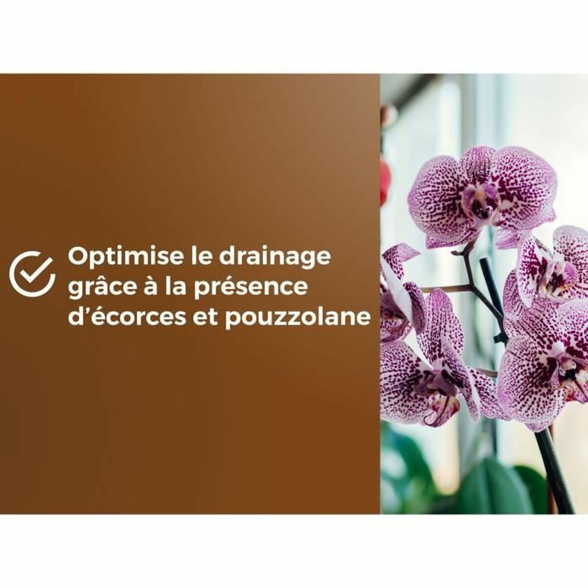 V2H39804BF49E6F431B686DCF00ABB699EER5966082P6