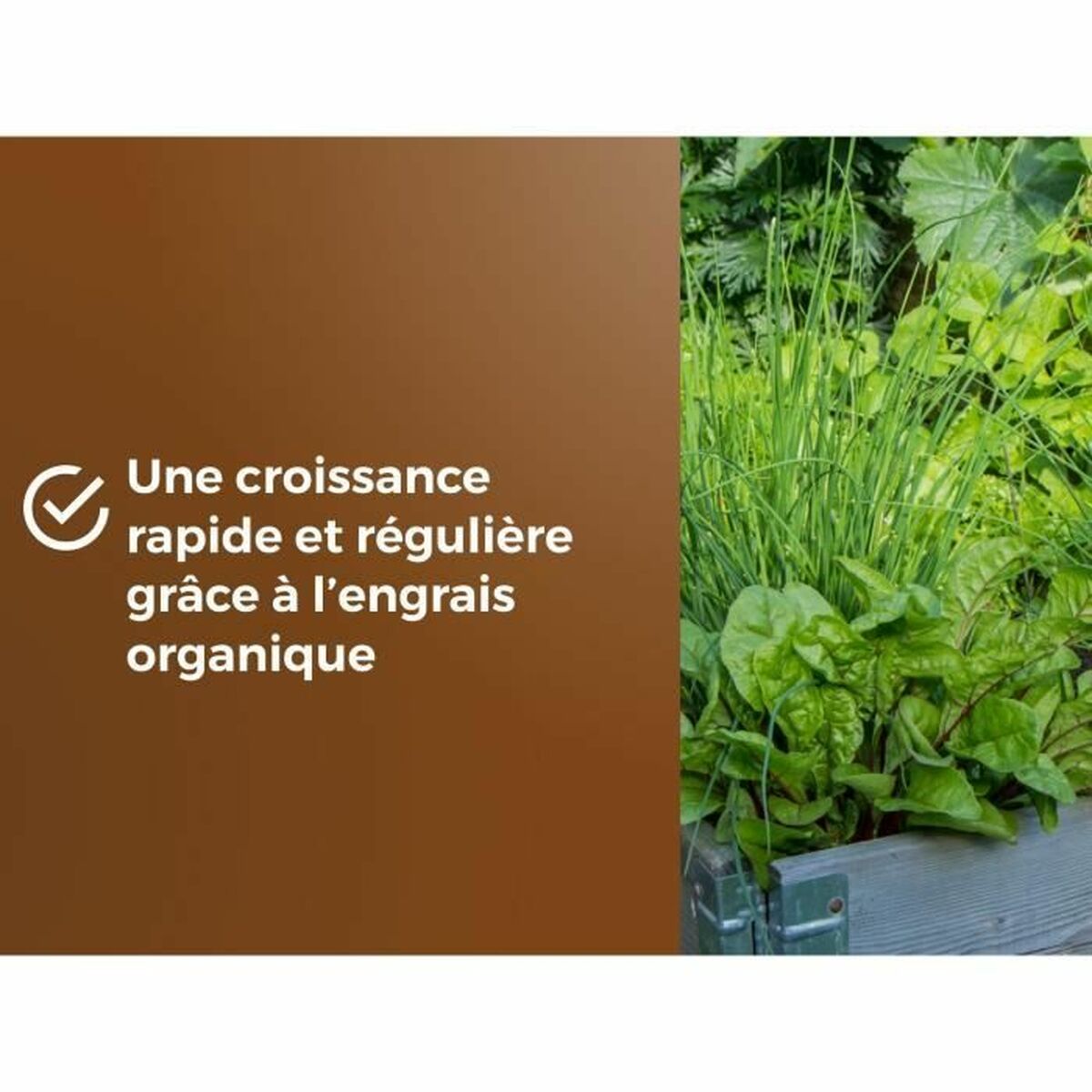 V2H56C72CEC3A6DA4D0A55AF4AB44851F90R5966238P4