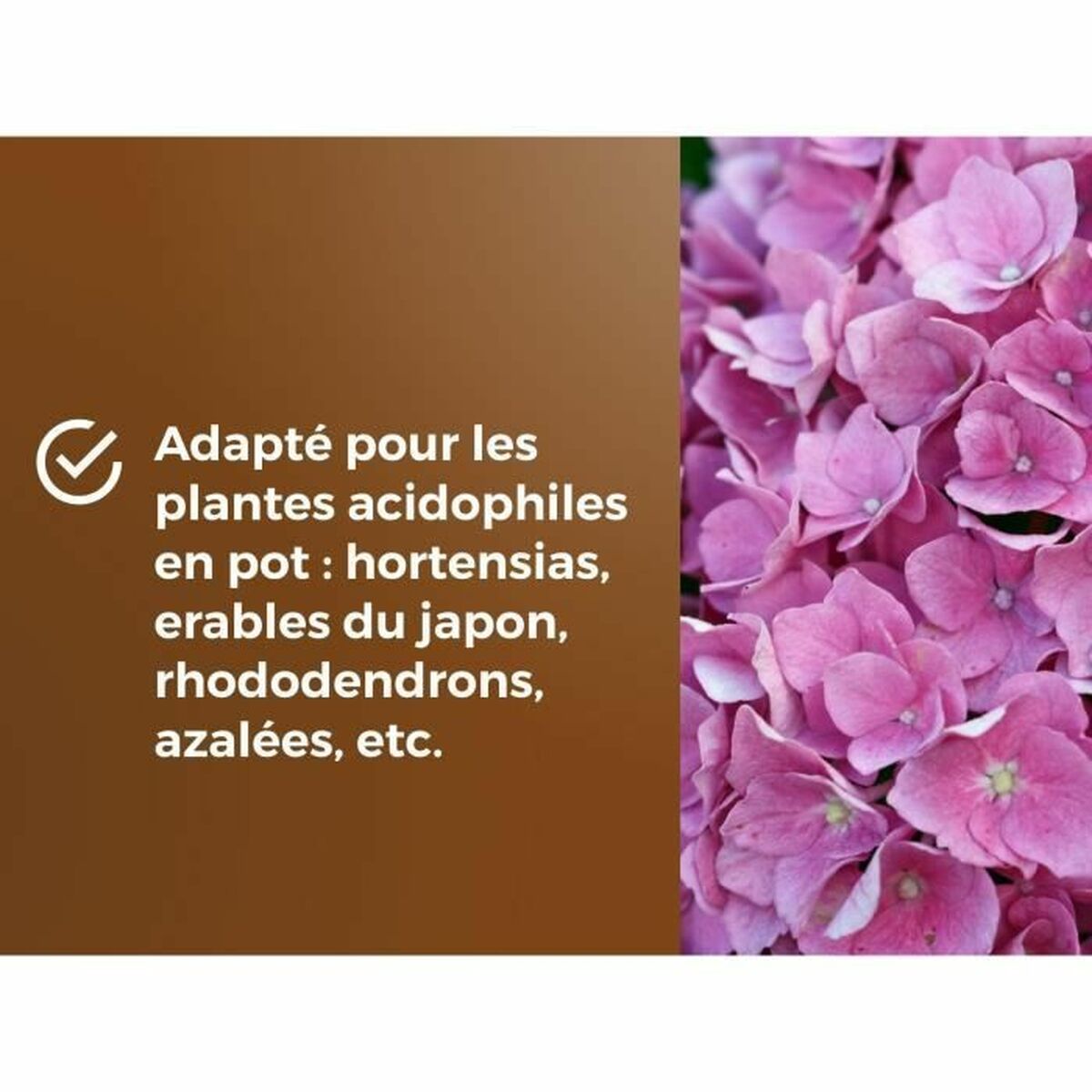 V2H8D6E83BC8B5491B5324BAB2302C5458CR5966182P4