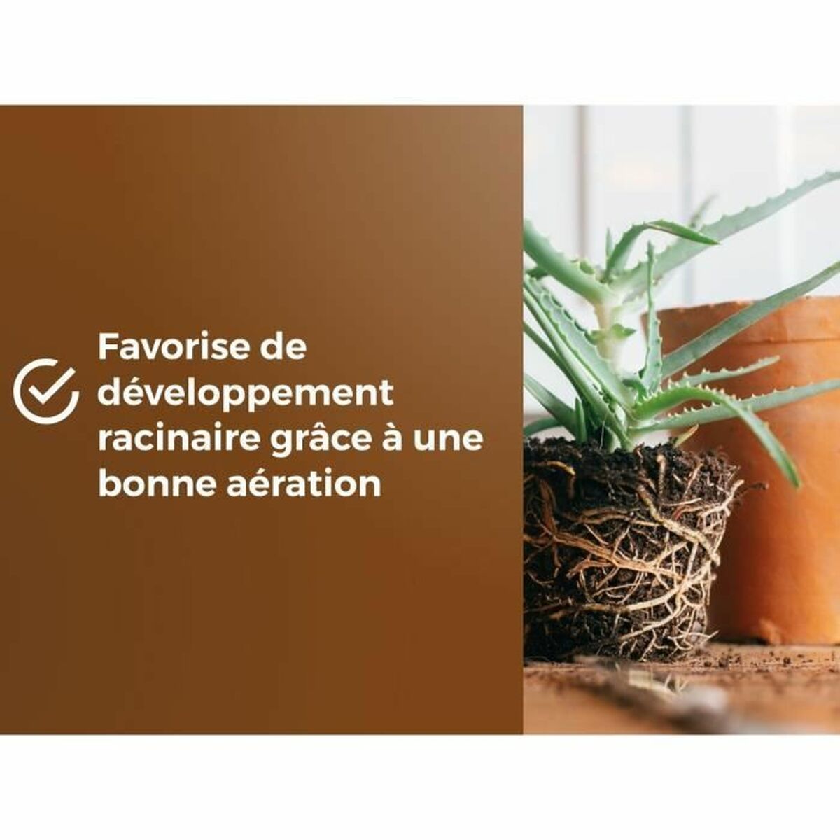 V2HF3F62A2B3E746973D0DE17D0C242D3EDR5966107P5