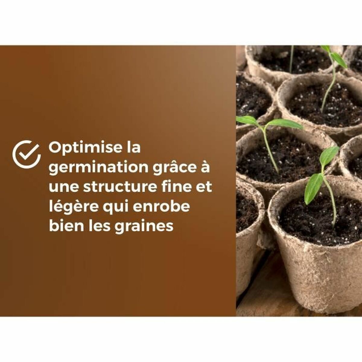 V2HAE6496A9DF29749B0EE8B4E4E06574ACR5809337P4