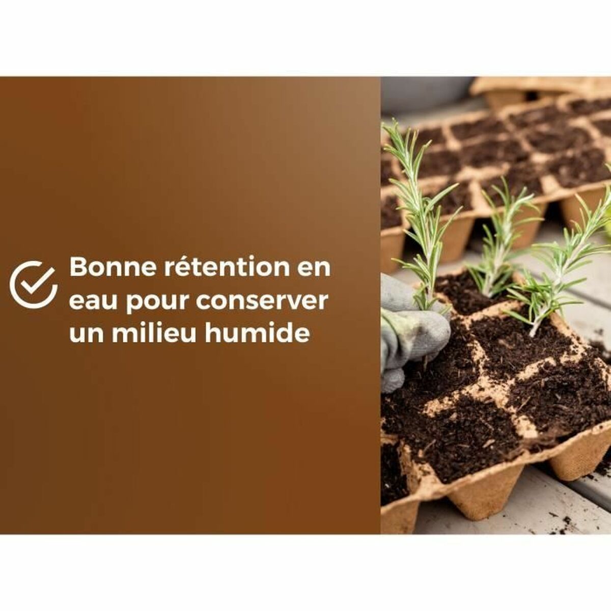 V2HF59F688527A8903A3097CC353C3A879AR5809339P5