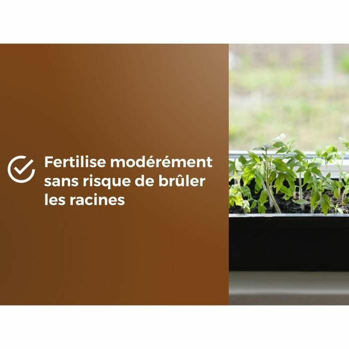 V2H35263296EC00F5A0B7D91015C474AC67R5809341P6