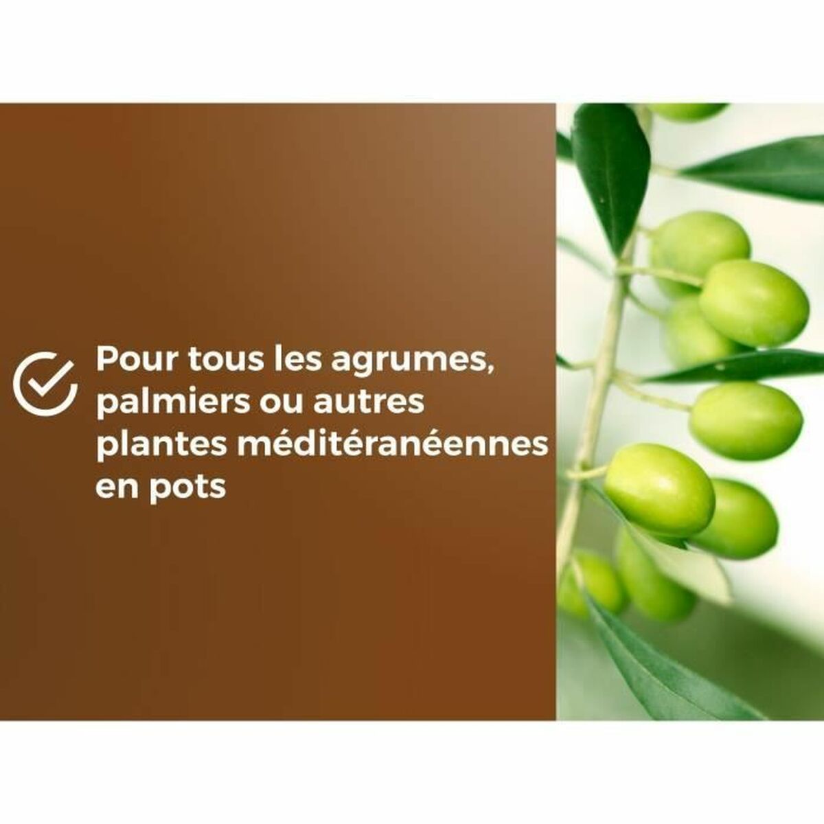 V2HB3A07A07ABF58B2AAC3AD622016C76BAR5966223P5