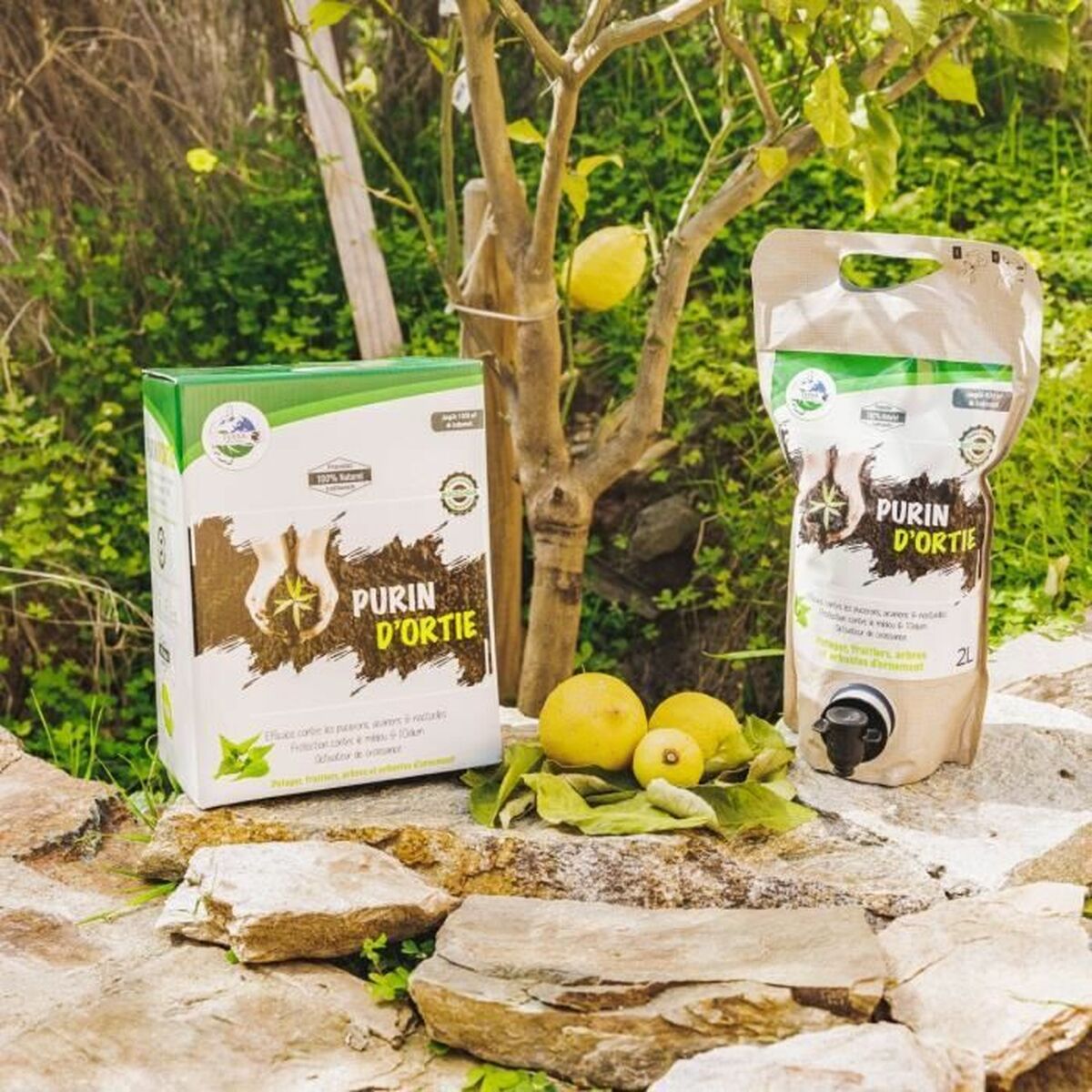 V2HA9A287D1BCF031B9C6F44E74D24ADC9CR6067084P3