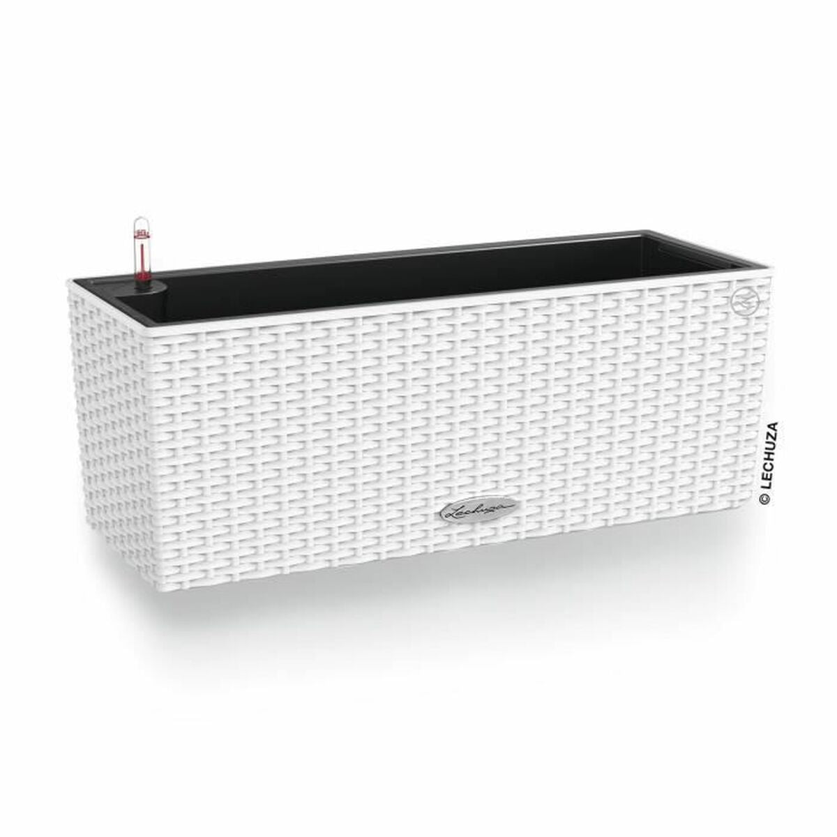 V2HD8E6D6BEC2D9CB64C7A46F451F7C1E1AR5838819P1