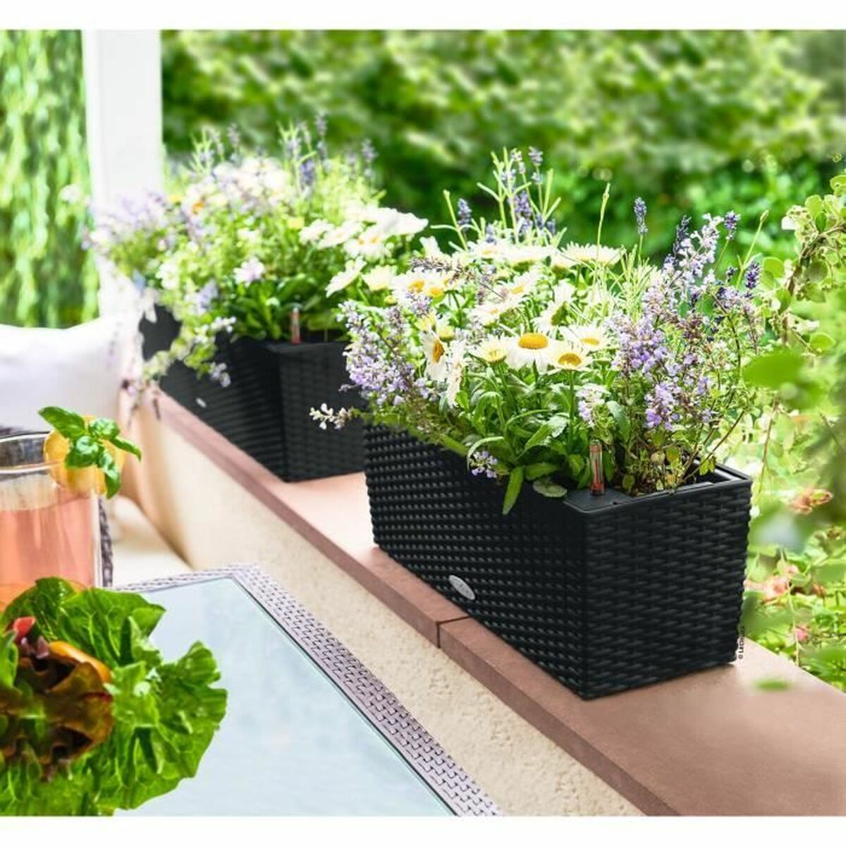 V3H2F3A8A48DD70BBBB402E313C2E32862FR6458000P2