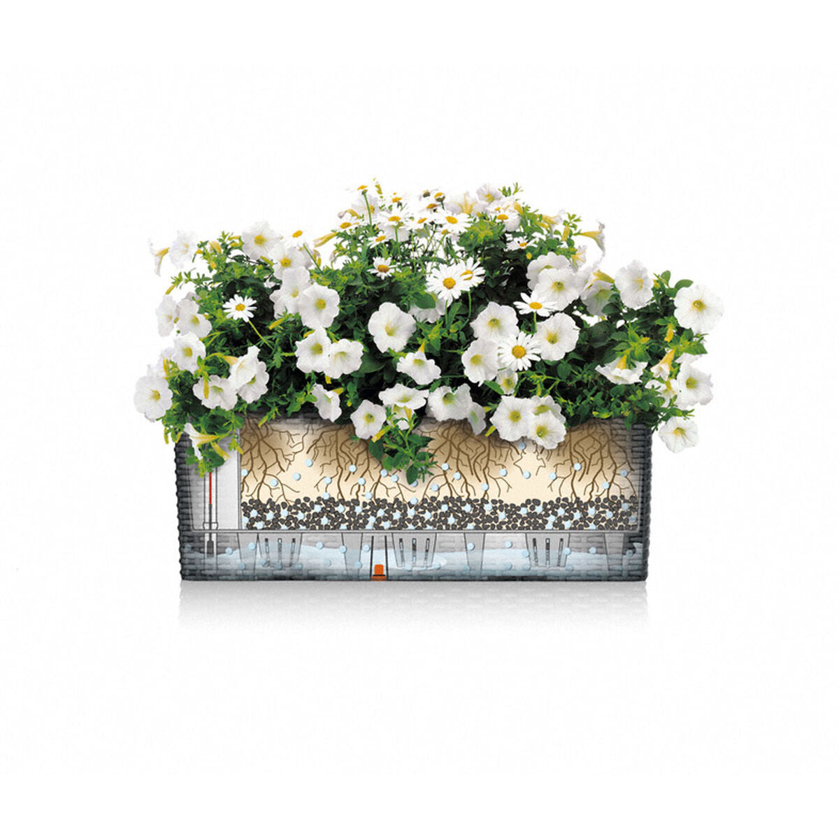 V2H476F74C5C8F88152451F979E4BA8D3FBR5837901P4