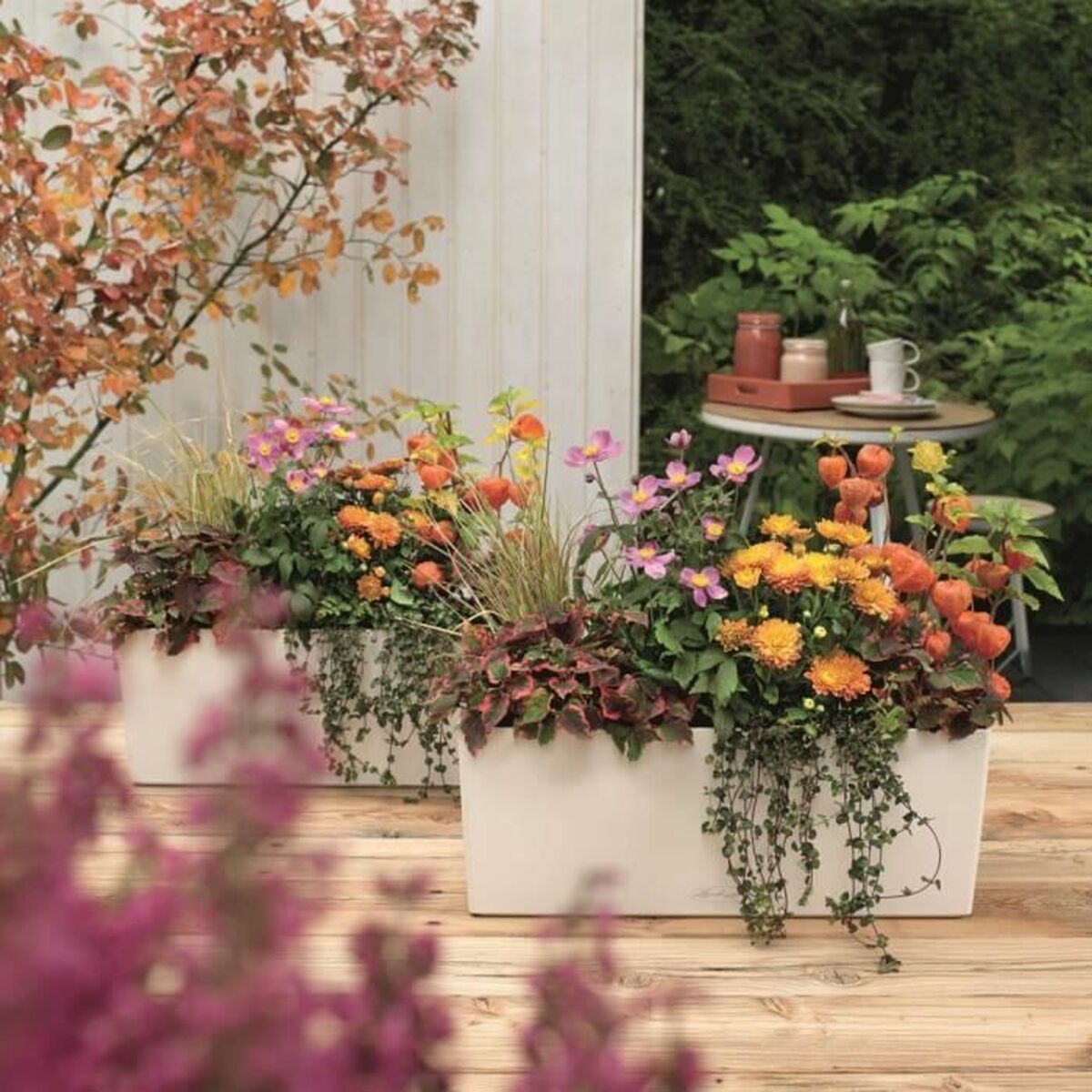 V2HCE5726AD4EB731F494F6AE5B3EDB6B60R5837910P7