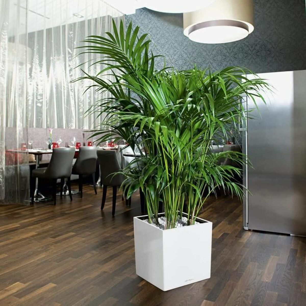 V3HF9986C255EFEA781CDC41686AABB467AR4315574P3