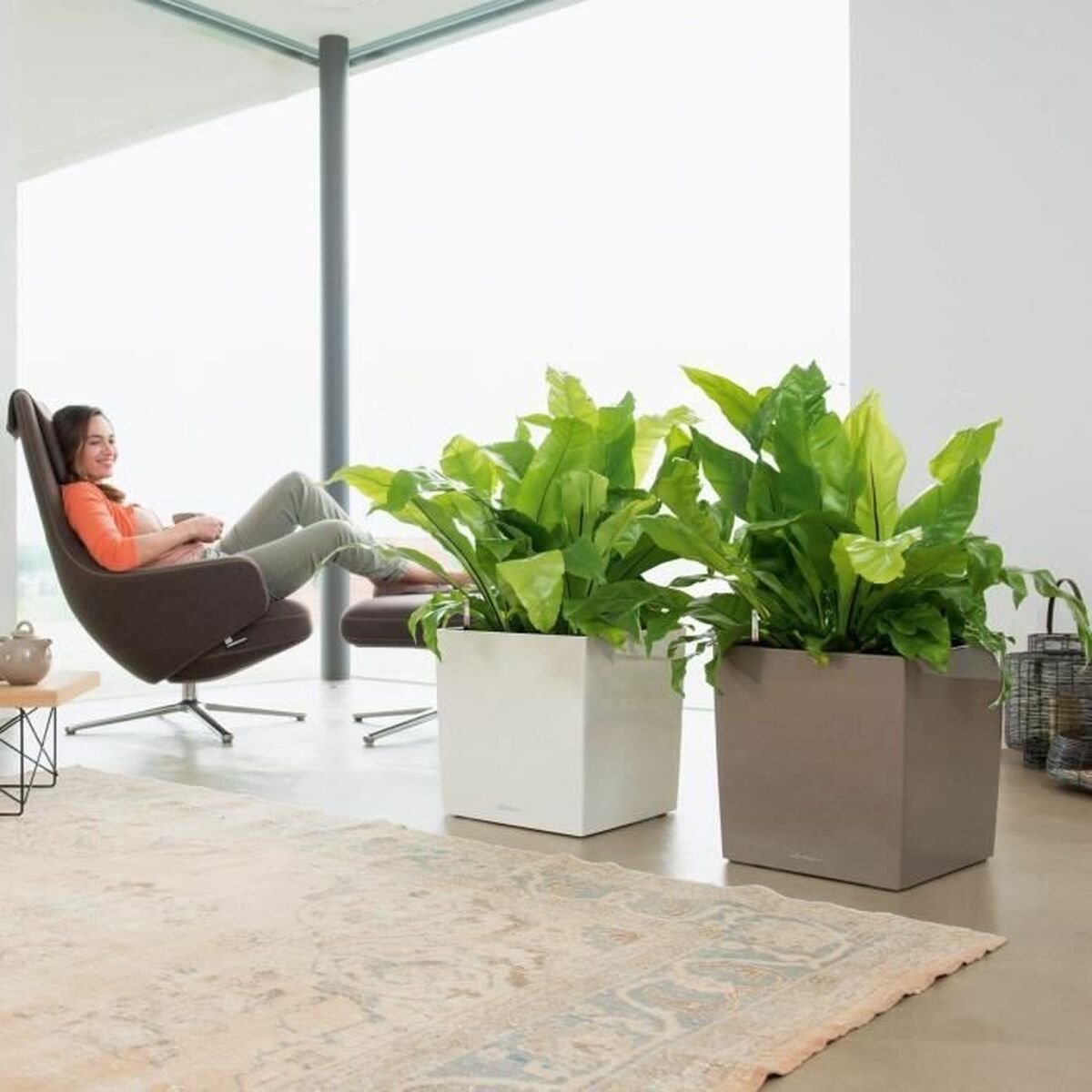 V3H864A7E94C27CC213F72A60FA4B5BC440R4315577P4