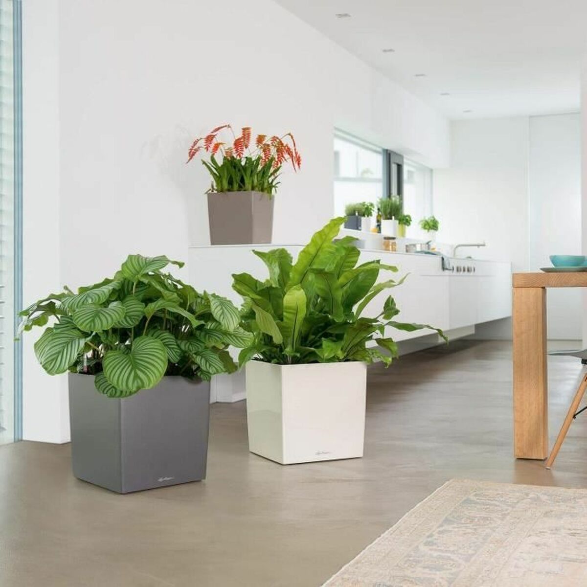 V5H8249B5CA3A2A9E5ACE32DBD94BB8A411R6397669P5