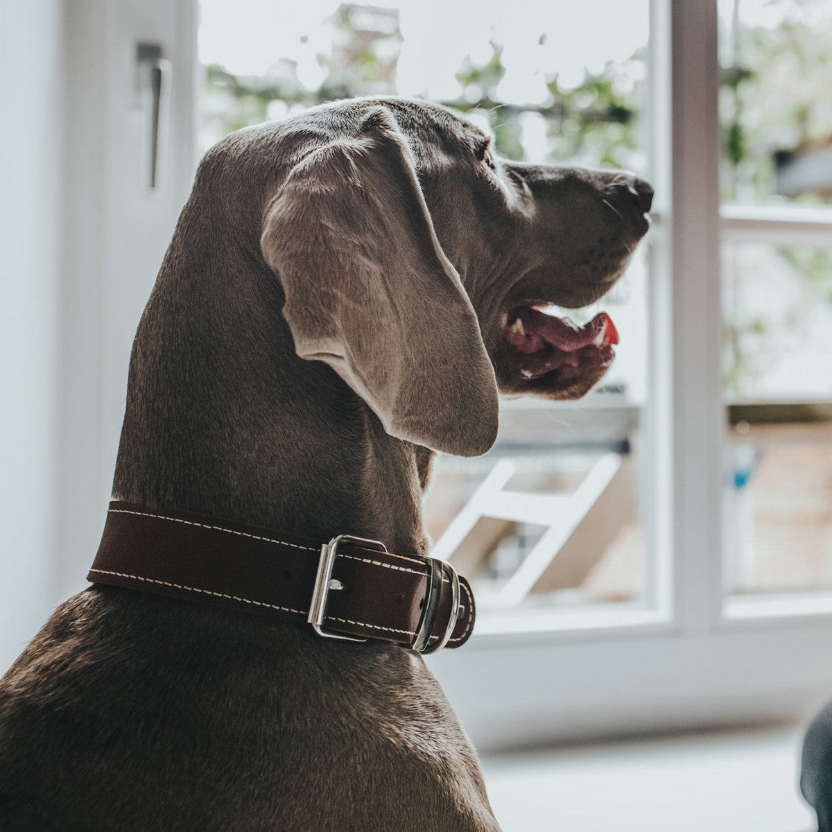 V7H594669FF8F66C70A996DD8329234D428R1561426P3