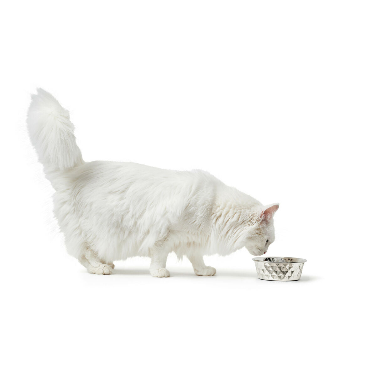 V4H060703C6137C859AAEE7F53DE5354292R4438166P4