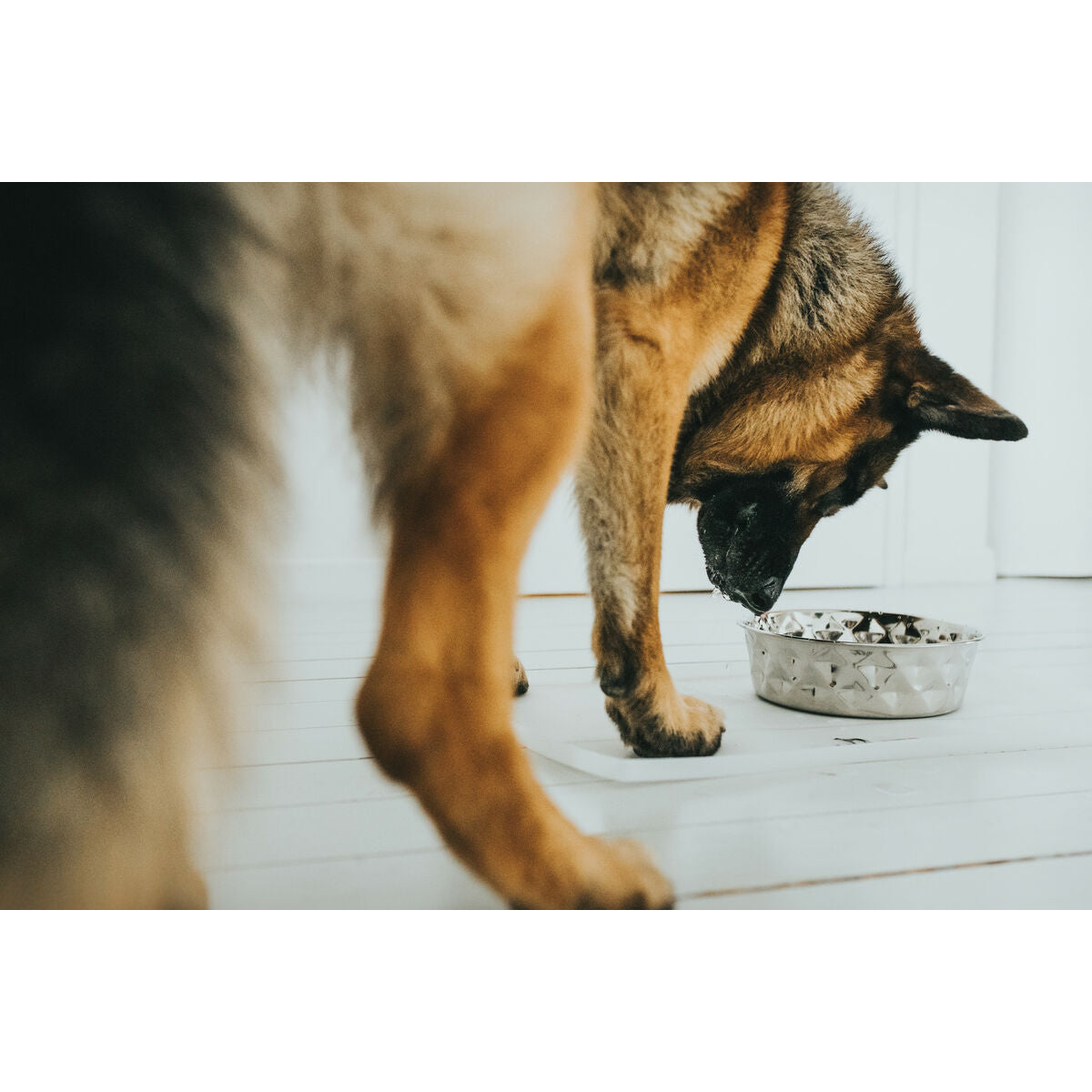 V4HD7BB422285AB8604F82C23EE819118B3R4438169P5