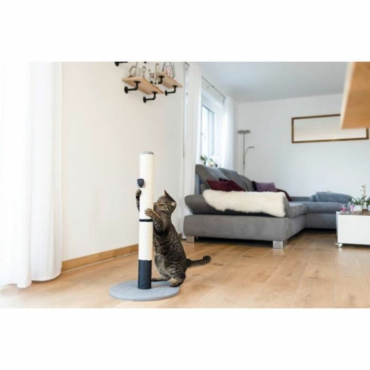 V2H7FC527DD580E235C67E15C8C31C92E0CR5763411P4