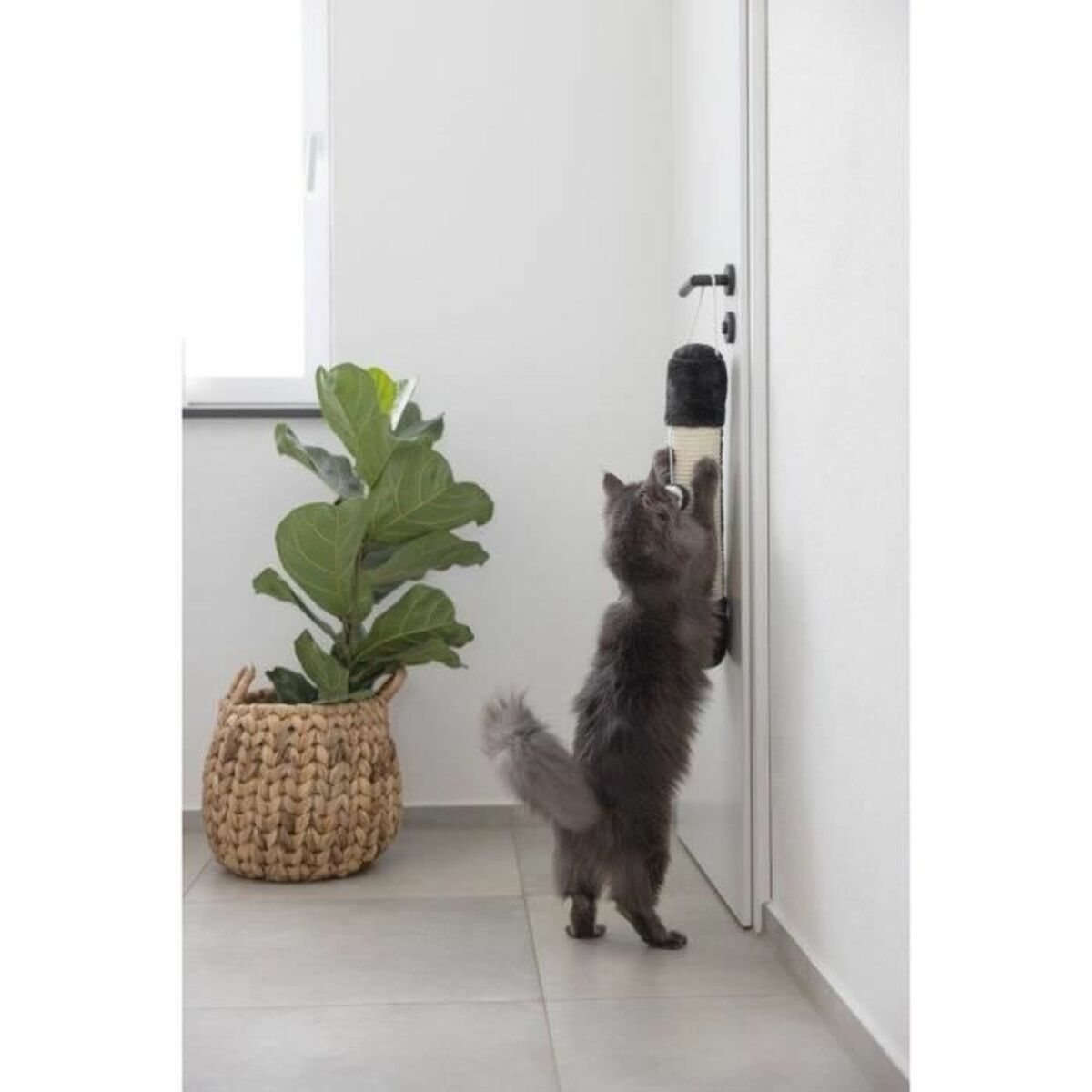 V2HE5ED086F83976924A92512A0034260B5R5763401P3