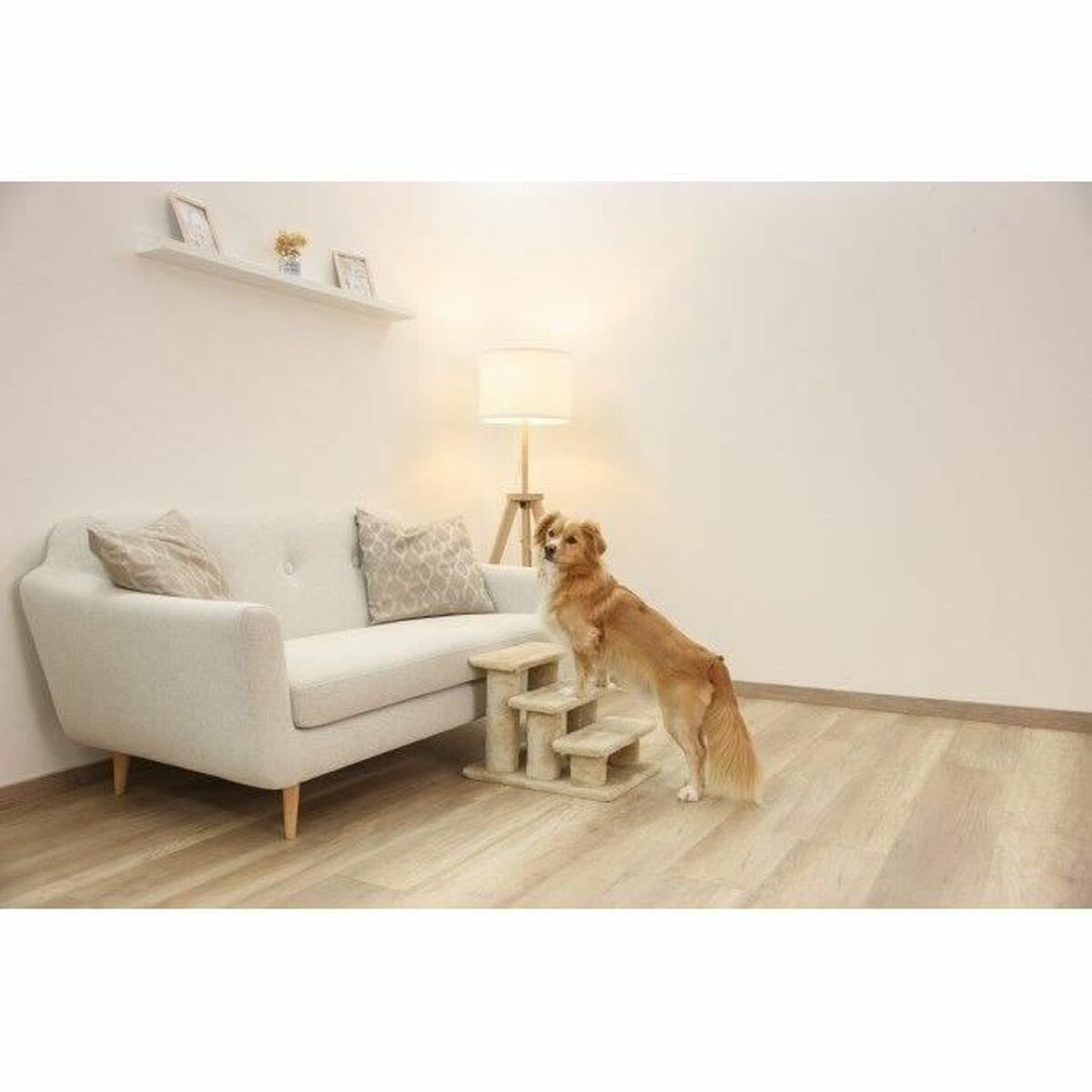 V4H664CBB1837DDEAE3547FA63887F9ECF4R6382840P4