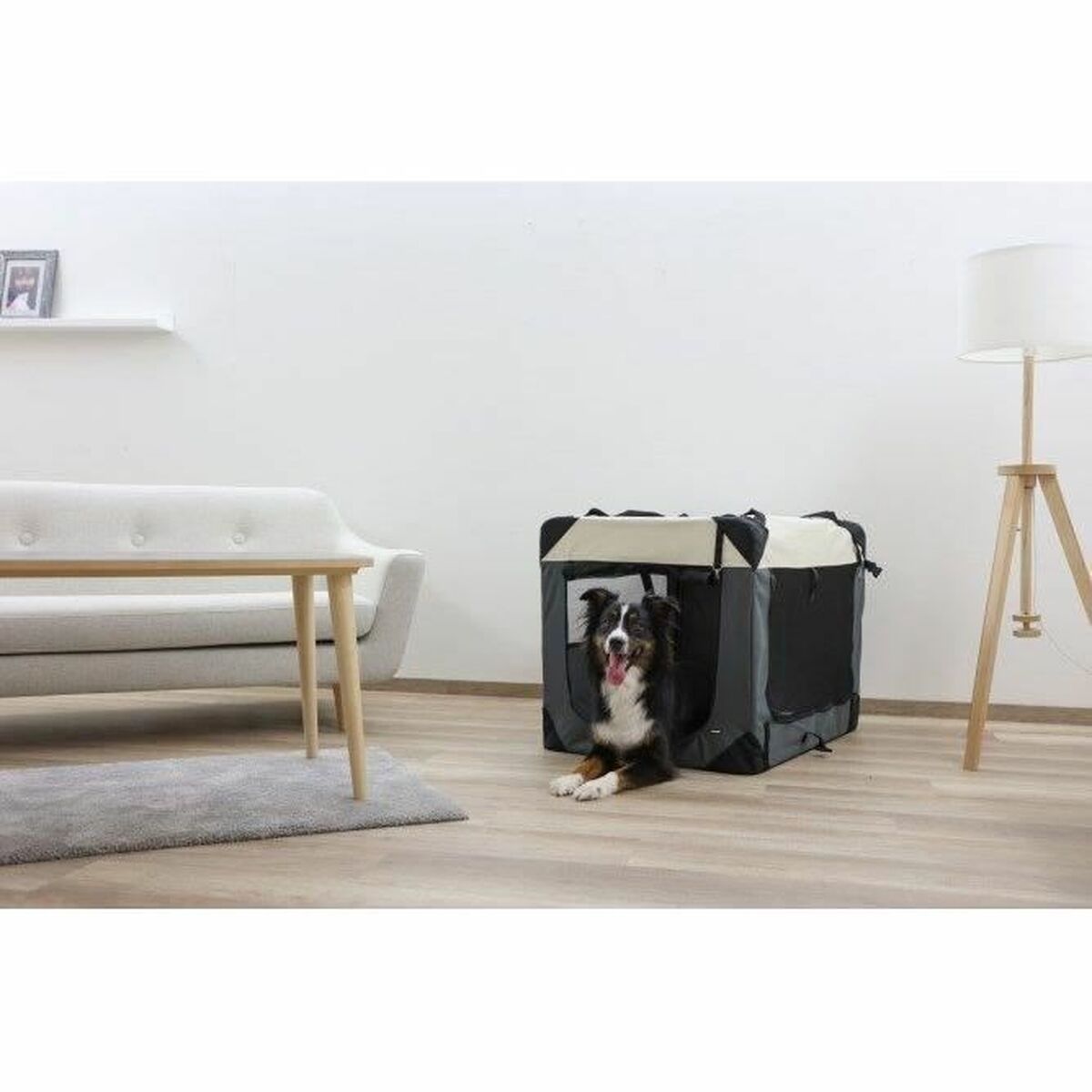 V6H9E57D187BE310E800A239AF395123237R6396027P5