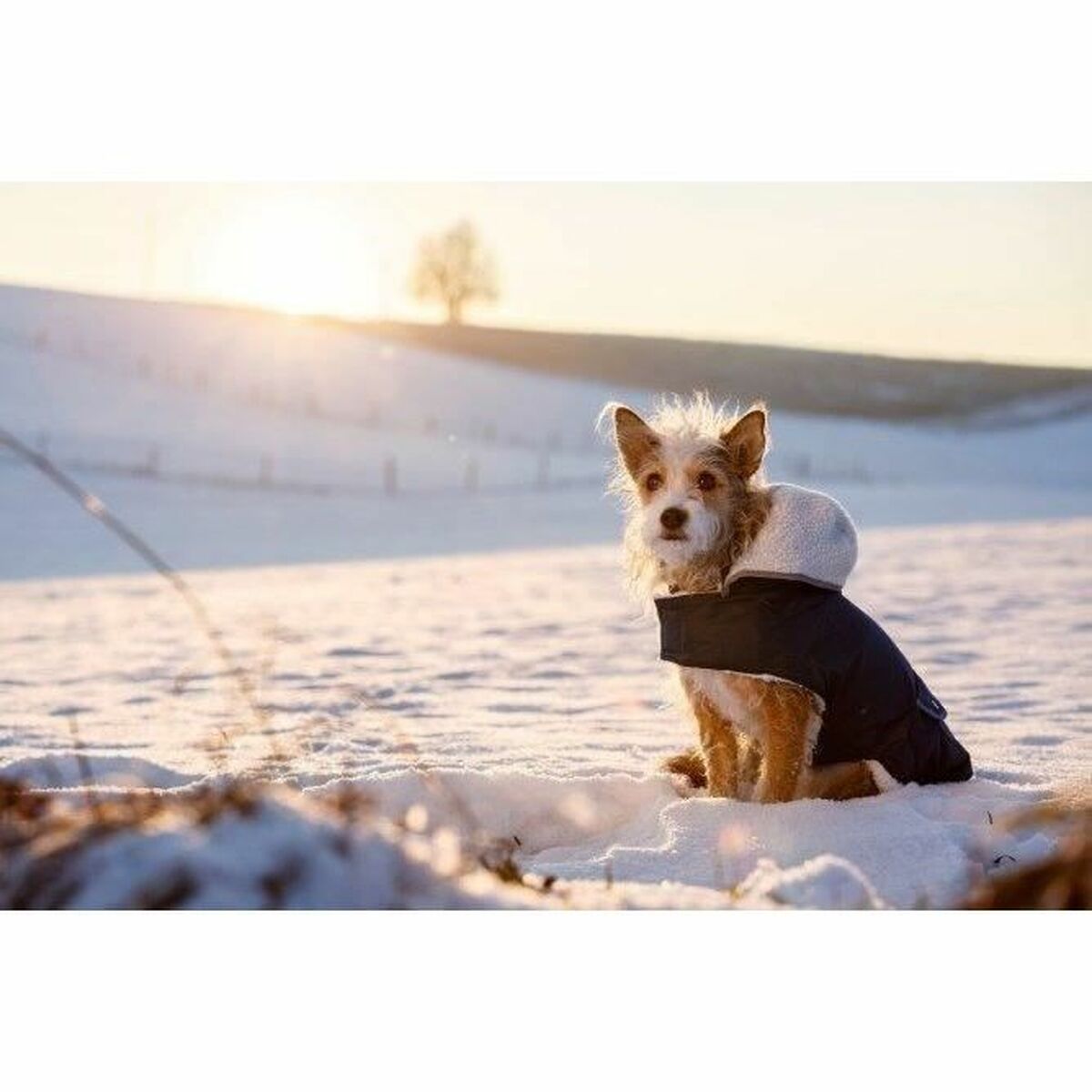 V2H97D4E8B6149613EECB0FEF62789BB5D4R5763178P3