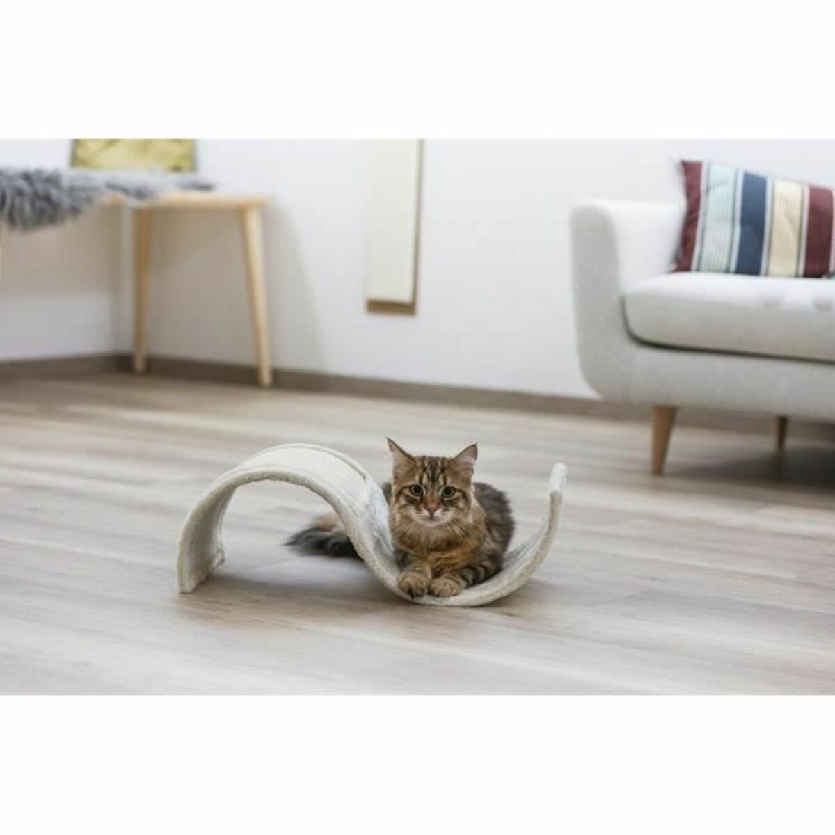 V2HBA19938F5558EFE20A19B0BEA7B7EE70R5763388P2