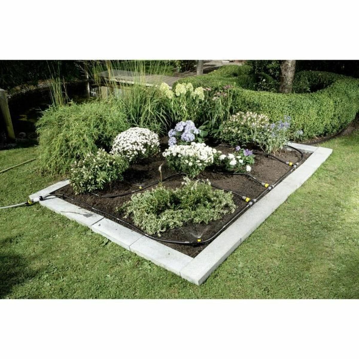 V4H1B041F0C3089D37AC8A576A3238237F2R6164945P2