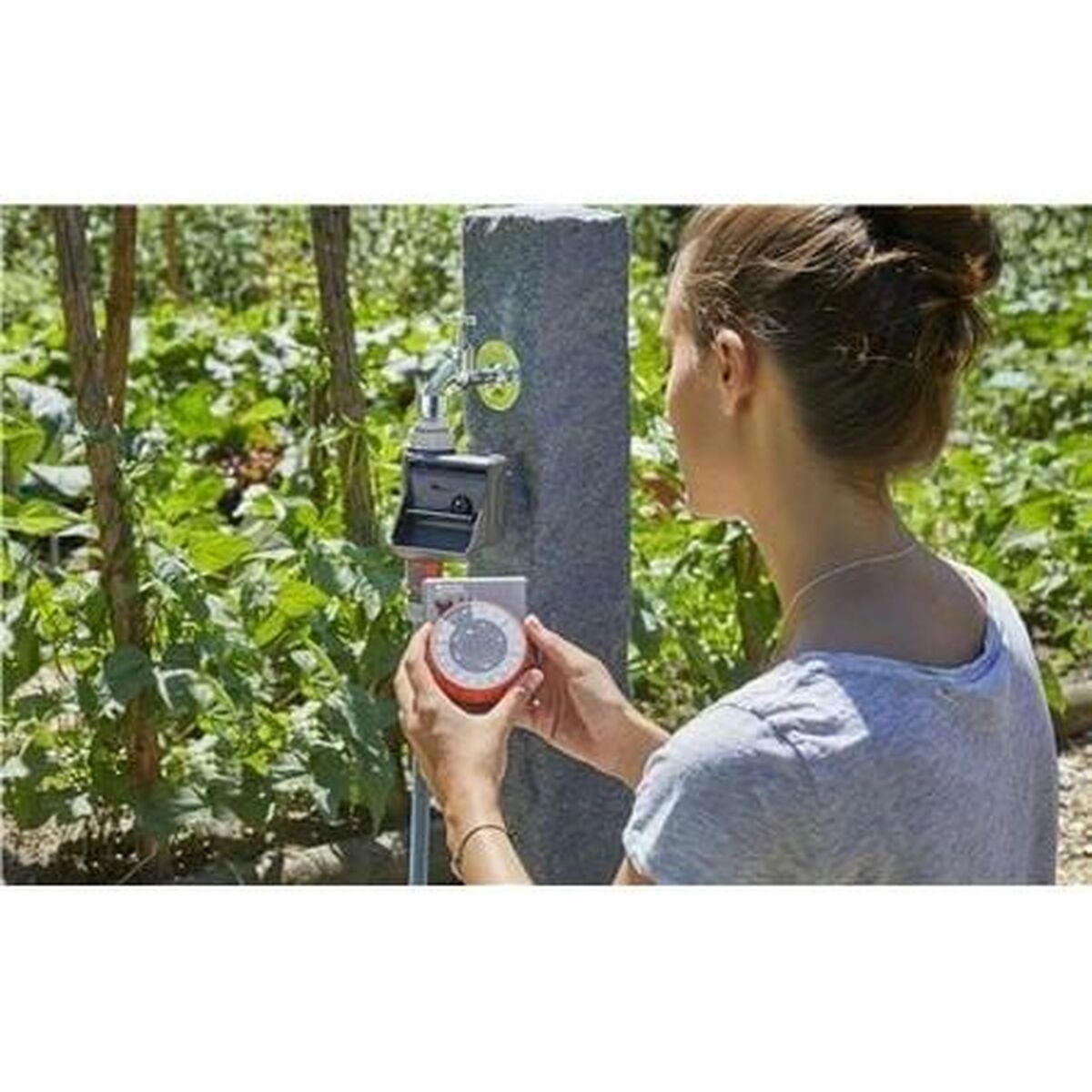 V4H5ECF1BF092D35534286E8749F1CD1B8BR6244169P2