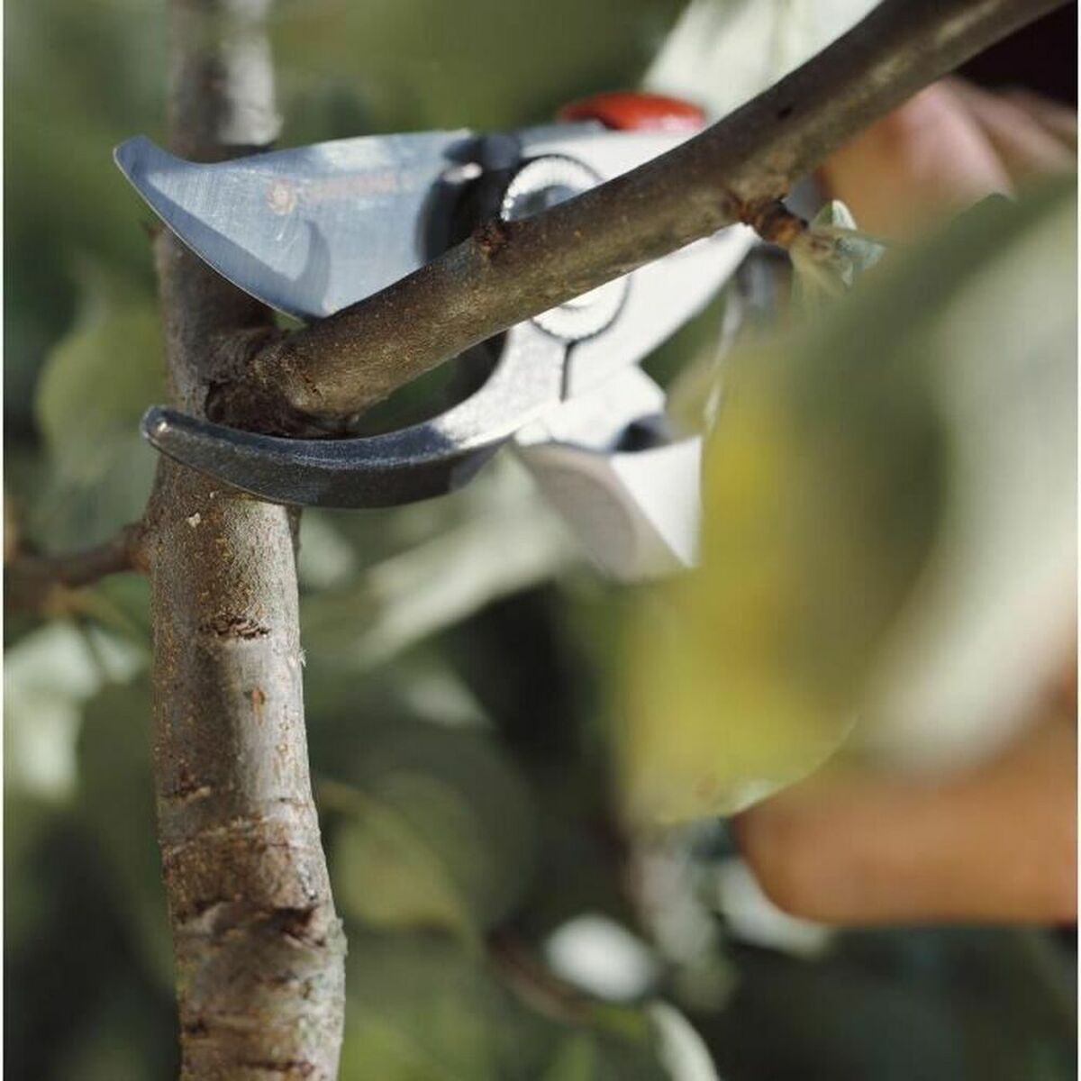 V7HFE81A83E7959A84802394BB4E0619B28R6248120P3