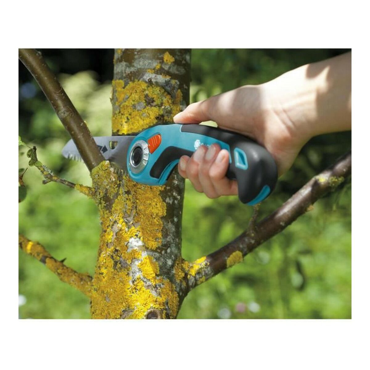 V5H7A00B1451572D65DDC58A6CB98F7ACD0R3432370P4