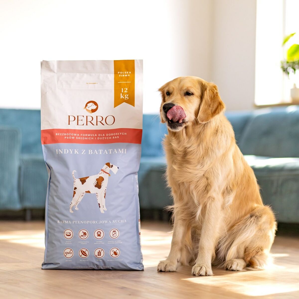 Pienso PERRO Turkey with sweet potatoes Medium and large breeds Pavo 3 Kg Adulto 3,5 kg