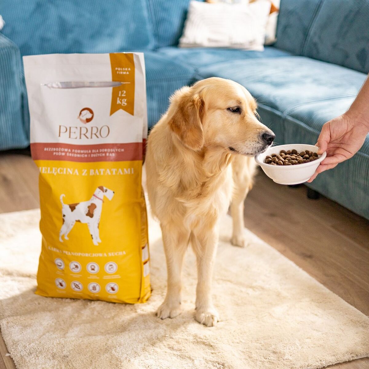 Pienso PERRO Veal with sweet potatoes Medium and large breeds Ternera 12 kg Adulto 12,7 KG